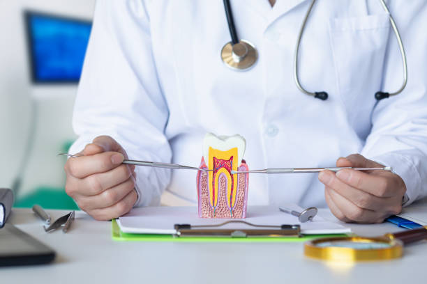 Best Dental Abscess Treatment in Paulden, AZ